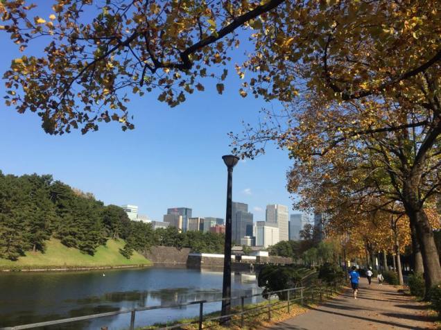 私の定期的なジョギングコースでも紅葉が始まります。 My regular jogging course in Tôkyô is also getting its autumn colors — at 桜田門 / Sakurada-mon Gate.